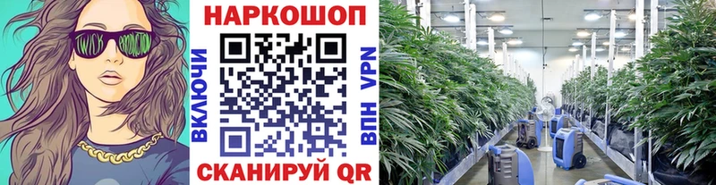 Магазины продажи наркотиков Заволжск A PVP  Меф мяу мяу 