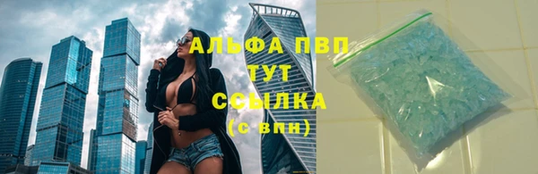 ECSTASY Алзамай