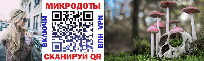 Галлюциногенные грибы MAGIC MUSHROOMS кракен как зайти Заволжск